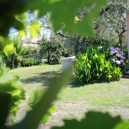 Villa Di Campagna Vicino Al Mare Orosei Exterior photo